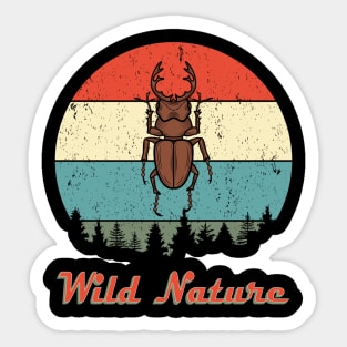 Wild Nature Stag Beetle Brown Abstract Sunset Sticker